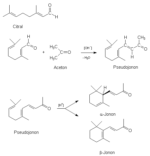 1565-sy1.gif (7601 Byte)