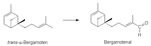 Entstehung von Bergamotenal