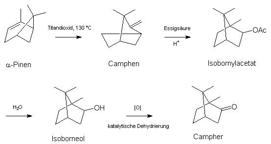 Camphersynthese aus alpha-Pinen