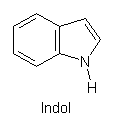 Struktur von Indol