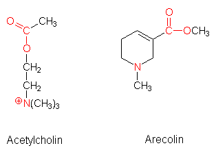 Abbildung 3: Vergleich mit Acetylcholin
