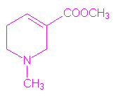 Strukturformel Arecolin