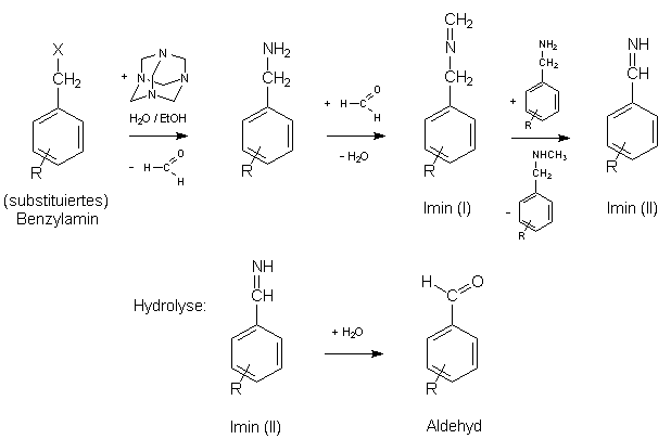 sommele1.gif (10094 Byte)