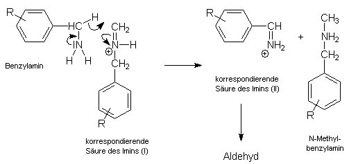 Mechanismus der Sommelet-Reaktion