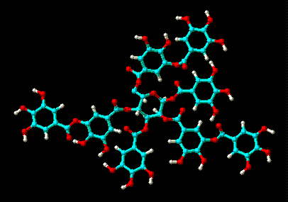 Tannin 3D-Struktur