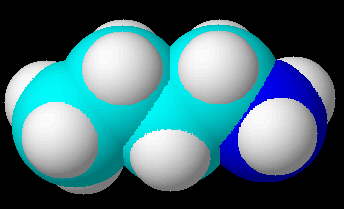 3D-Struktur von Butylamin